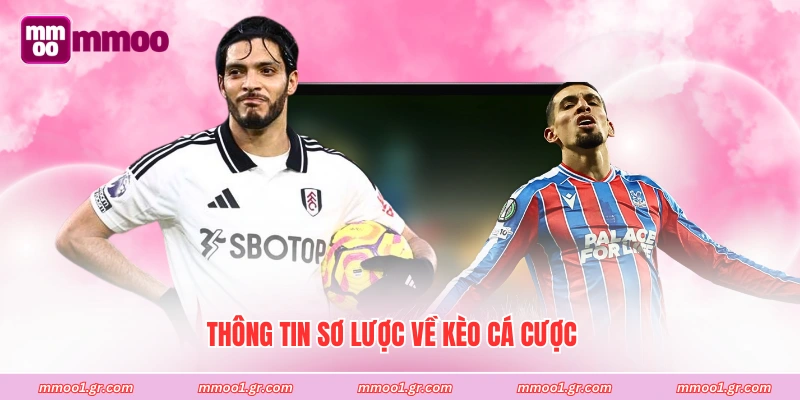 Thông tin sơ lược về kèo cá cược