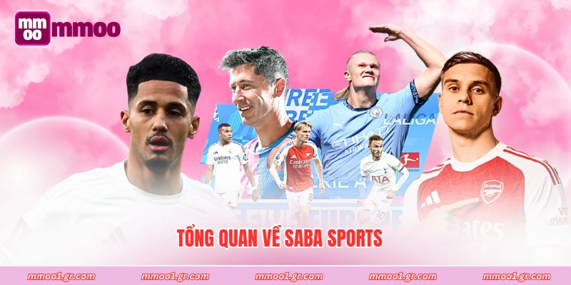 Tổng quan về Saba Sports